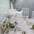 쇼미더뽑기 이미지