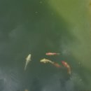 광양서초등학교 이미지