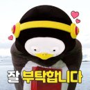선비꼬마김밥 부천원미점 네이버블로그