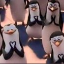 블랙벨트 체육관 이미지