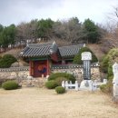 팔효문 Daum카페