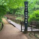 우면산3-25 이미지