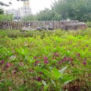 상동행정복지센터 이미지