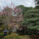 수원-1867 | [일본] - 교토 : 京都御苑(교토교엔/Kyoto Gyoen National Garden) / 京都御所(교토고쇼/Former...