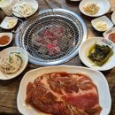 참버드나무집
