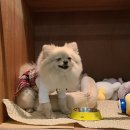 산책가까 이미지