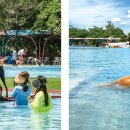 구로-구로-구로-2835 이미지