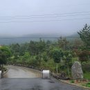 참전복로(보전항) 이미지