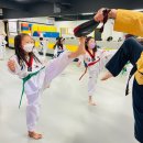 경희대신성태권도 이미지