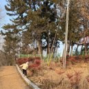 나루떡공방