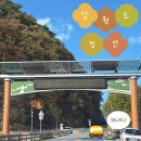 천일택시 | 강원도 정선 1박 2일 여행기 | 가을 민둥산 등산•천일먹거리•정선5일장 구경•맛집 추천