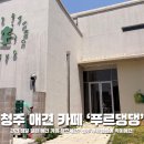 빵빵오락실 | 청주 애견카페 추천 푸르댕댕 근교에서도 찾아오는 관리 잘된 애견카페 솔직 후기