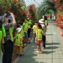 양재천(서초구) 이미지