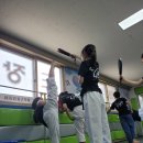 T.S 한국체대 한일태권도장 네이버블로그
