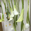 경민세탁소 이미지