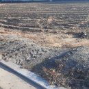 금가면사무소 이미지