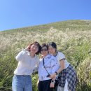 연안목장 | 추석맞이 친정식구와 제주여행🍊🌴