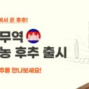 세계시민네트워크주