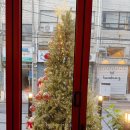 전포67 | 부산곱창 즐기러 전포 왔다! 서가장인곱창 부산전포점 방문후기 대공개🔥