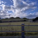 우포늪 | 경남 창녕 우포늪생태체험관 자전거대여 후기뿅