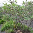 대환 농장 이미지