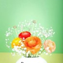 바람 구름 파도 그 이미지