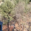 백호저수지~동리입구 | 감악산 출렁다리 운계폭포 2월 해질녘 방문기 / 파주당일치기여행코스 추천