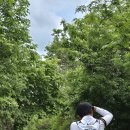 화천꺼먹다리 이미지