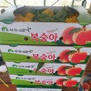 이태영농장 이미지