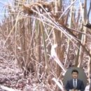 꼭지공인중개사사무소 이미지