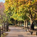 서호꽃뫼 이미지