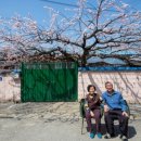 안성시개정보건진료소 이미지