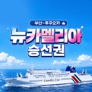(합)모두여행사 - 단양군 | 부산 후쿠오카 배편 뉴카멜리아호 가격 시간 예약방법 다인실 후기 배타고 일본 여행
