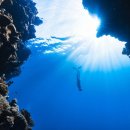 행정사 김성일 사무소 이미지