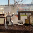 남내과의원 이미지