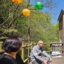 주왕산의봄 이미지