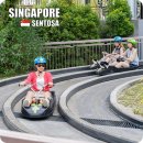 스카이라인 | 싱가포르 센토사 루지 예약 시간 티켓 가격 코스 스카이라인 후기