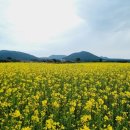 보물농장 이미지