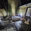 알로하스테이 | 춘천감성숙소 찾는다면 알로하부자스테이 독채 후기