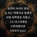 소모는막대기 이미지