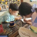 꽃냥이네 촌집 이미지