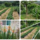 워니 농장 이미지