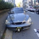대우카포스 이미지
