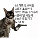 고기지존