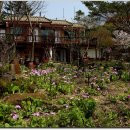 야생화펜션 이미지