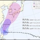 고니나라 SBS