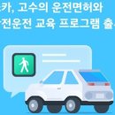 고수의운전면허 이미지