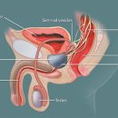 수비뇨의학과의원 이미지