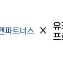 나무글로벌파트너스 이데일리