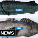 메로 이미지